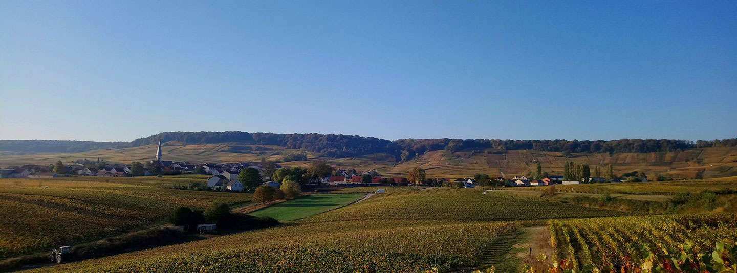 Champagne Guerlet Deguerne