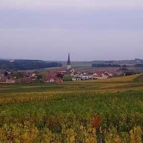 NOTRE VIGNOBLE